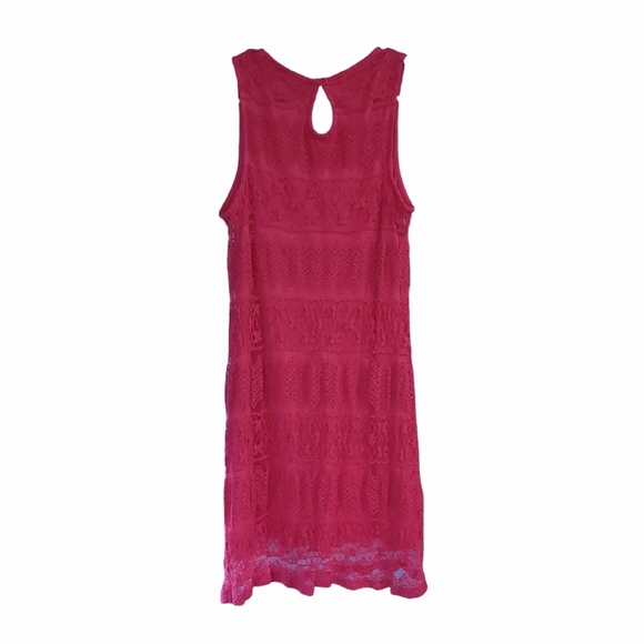 Dress. Lace Pink - Picture 2 of 5